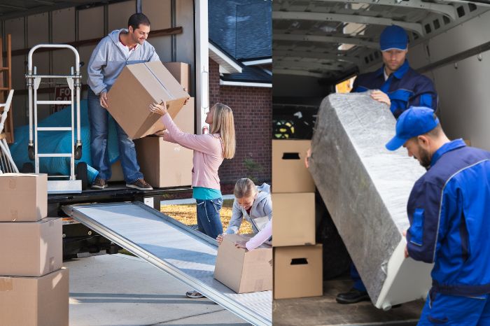 Goods Transport